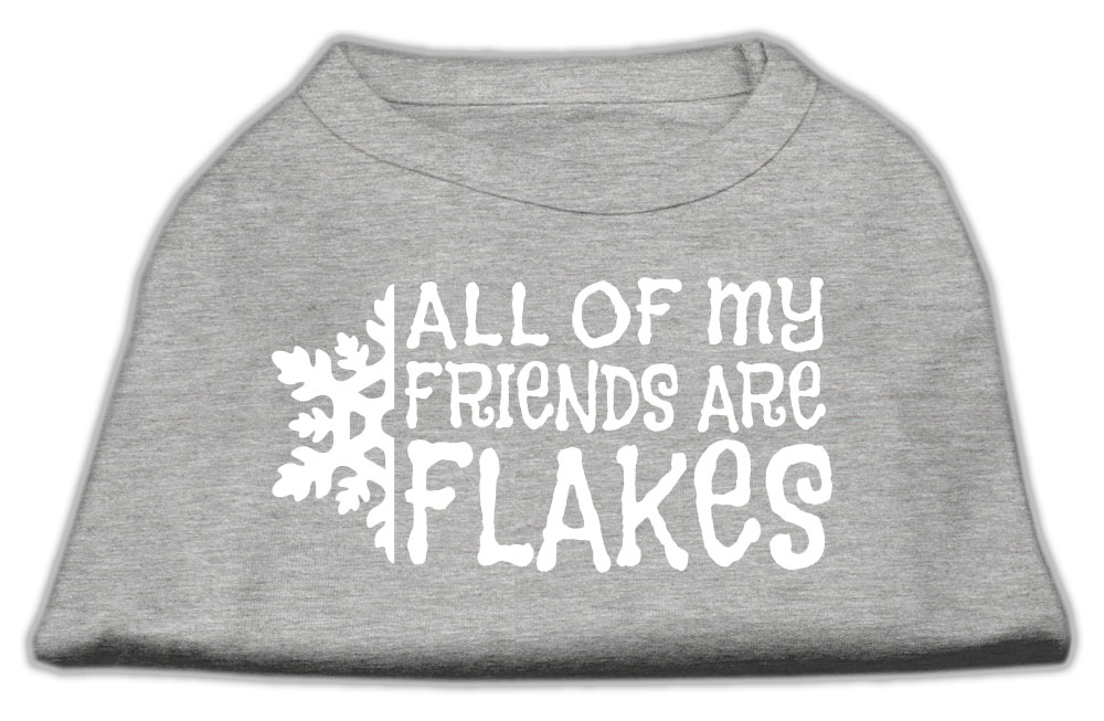 All my friends are Flakes Screen Print Shirt Grey M
